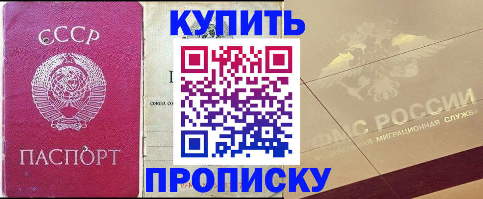 прописка для школы в Онеге